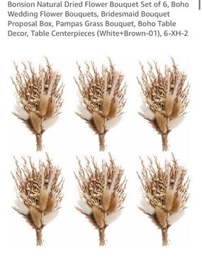 Dried Pampas & Mixed Grasses Bouquet - Natural Tan Set of 6